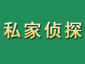 河东市私家正规侦探